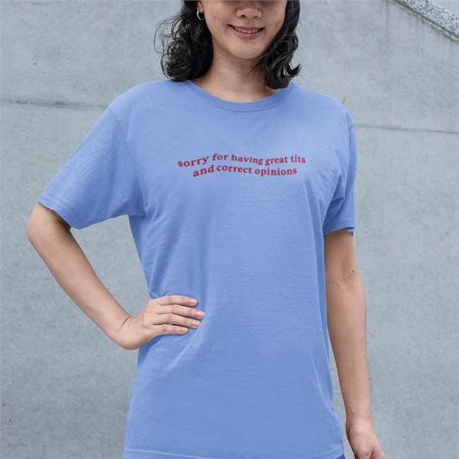 Sorry For Having Great Tits And Correct Opinions Hoodie
